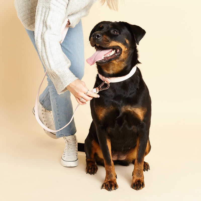 Barc London Blush Pink Dog Collar & Lead Set