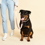 Immaculate Vegan - Barc London Blush Pink Dog Collar & Lead Set