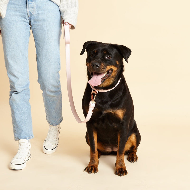 Barc London Blush Pink Dog Collar & Lead Set
