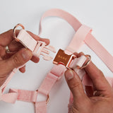 Immaculate Vegan - Barc London Blush Pink Dog Harness