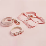 Immaculate Vegan - Barc London Blush Pink Dog Harness & Lead Set