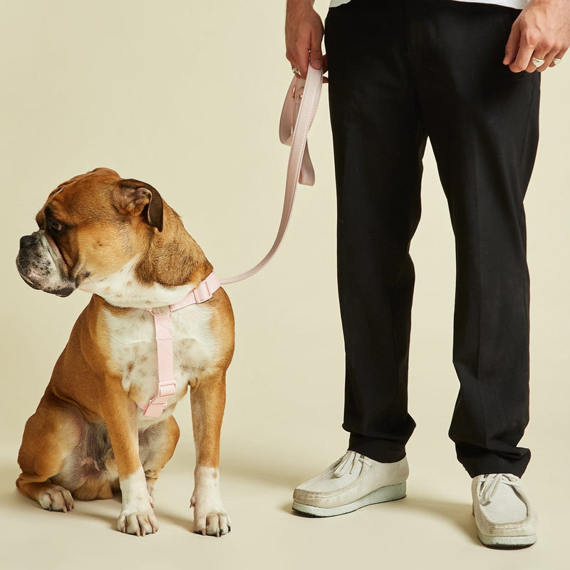 Barc London Blush Pink Dog Harness & Lead Set