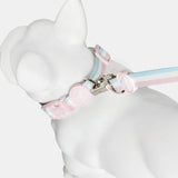 Immaculate Vegan - Barc London Candyfloss Stripe Fabric Dog Collar