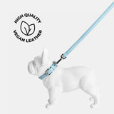 Immaculate Vegan - Barc London Coastal Blue City Lead