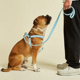 Immaculate Vegan - Barc London Coastal Blue Dog Harness