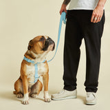 Immaculate Vegan - Barc London Coastal Blue Dog Harness