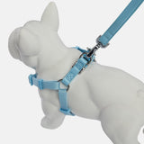 Immaculate Vegan - Barc London Coastal Blue Dog Harness & Lead Set