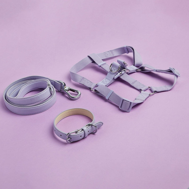 Barc London Fresh Lilac Dog Collar, Harness & Lead Set