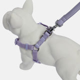 Immaculate Vegan - Barc London Fresh Lilac Dog Harness & Lead Set