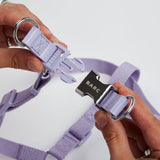 Immaculate Vegan - Barc London Fresh Lilac Dog Harness & Lead Set