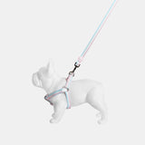 Immaculate Vegan - Barc London Candyfloss Stripe Fabric Dog Harness L