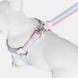 Immaculate Vegan - Barc London Candyfloss Stripe Fabric Dog Harness L