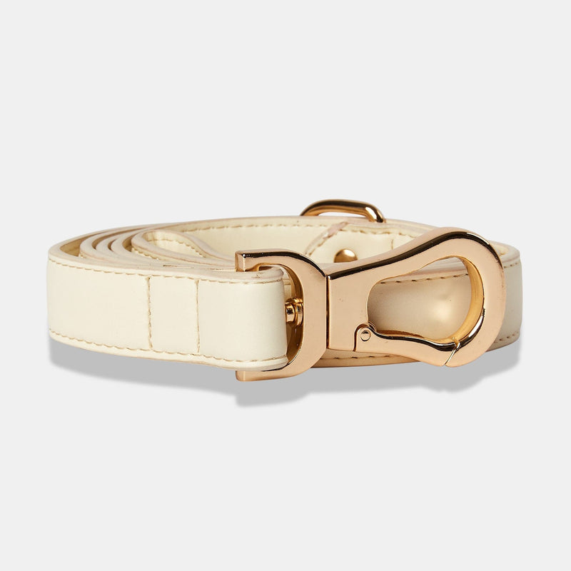 Barc London Light Ivory Dog Collar & Lead Set