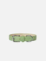 Immaculate Vegan - Barc London City Vegan Leather Dog Collar | Lush Green XS