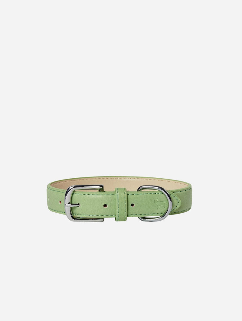 Barc London City Vegan Leather Dog Collar | Lush Green XS