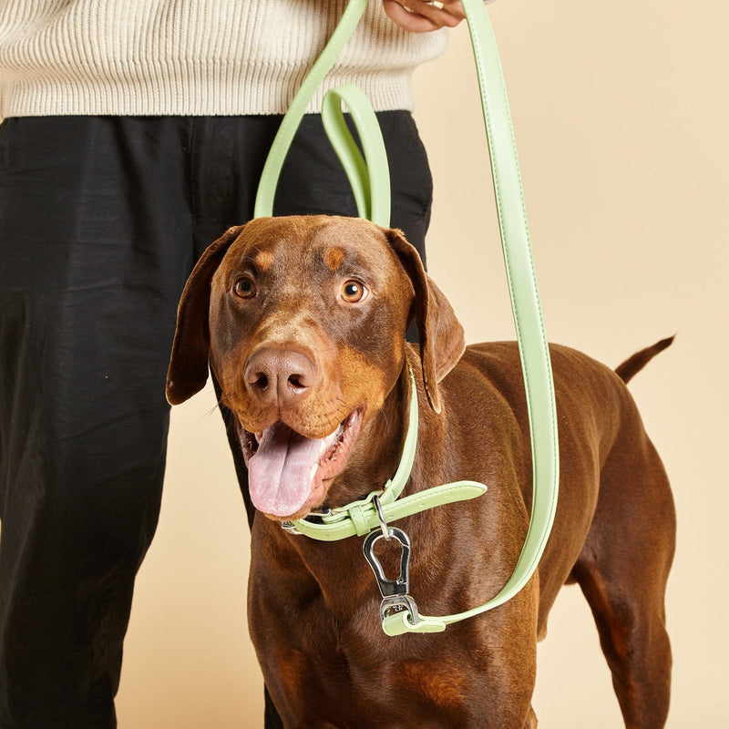 Barc London Lush Green Dog Collar