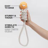 Immaculate Vegan - Barc London Orange Tennis Ball and Rope Dog Tug Toy