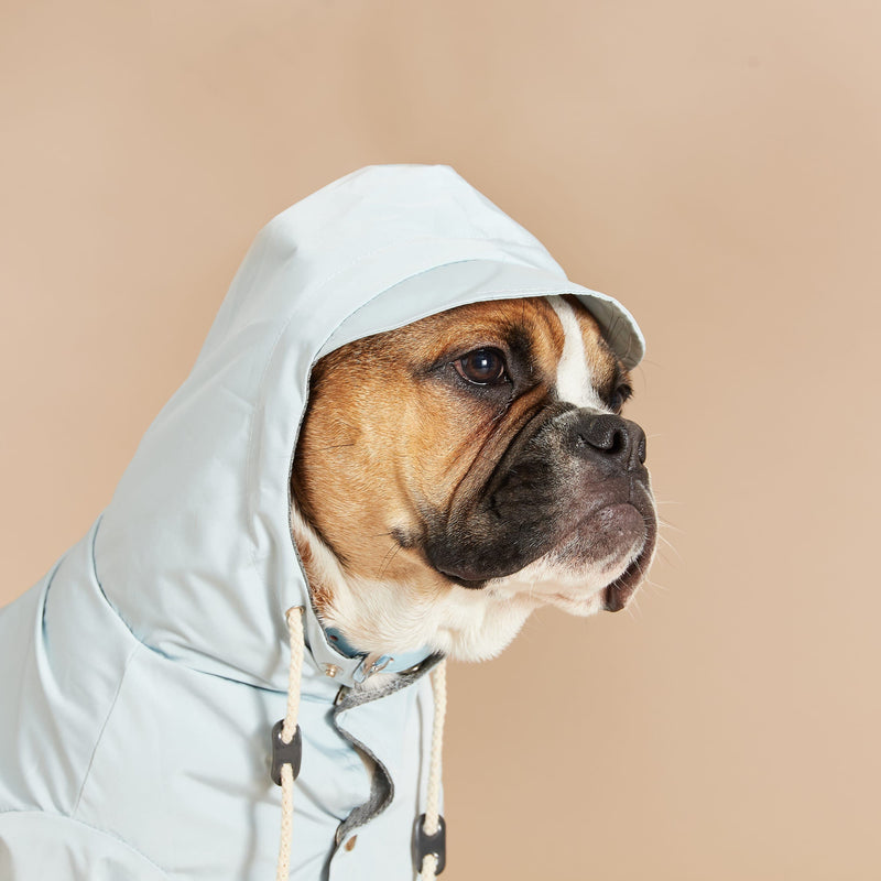 Barc London Original Blue Dog Raincoat