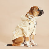 Immaculate Vegan - Barc London Original Yellow Dog Raincoat