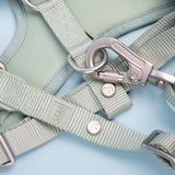 Immaculate Vegan - Barc London Pistachio Green Essential Adjustable Lead