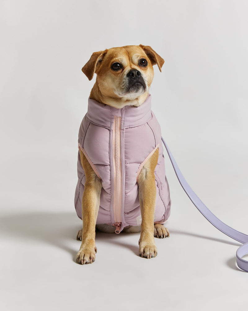 Barc London Reversible Dog Puffer Jacket: Pink & Lilac