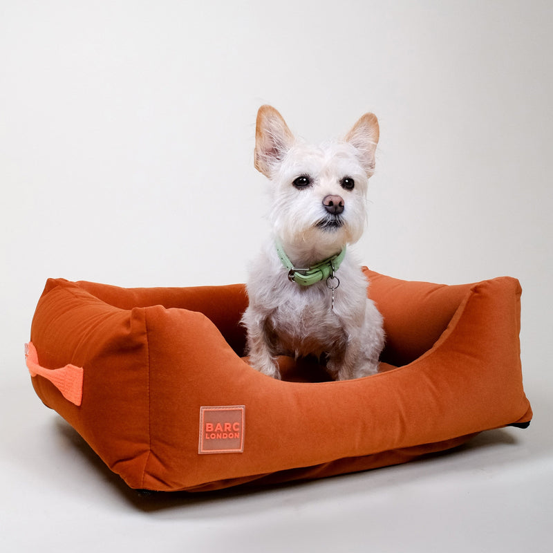 Barc London Rust Orange Premium Everyday Bed