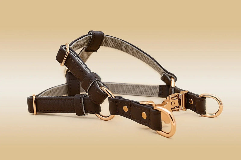 VEGARI 2 In 1 Piñatex® Vegan Leather Dog Harness & Lead Bundle | Brown