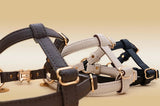 Immaculate Vegan - VEGARI 2 In 1 Piñatex® Vegan Leather Dog Harness & Lead Bundle | Brown