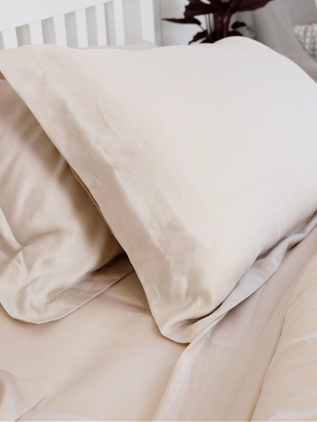 Organic Vegan Eucalyptus Silk Fitted Sheet Wheat Immaculate Vegan