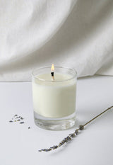 Immaculate Vegan - Lavender Hill Clothing Lavender (essential oil) Soy Wax Votive Candle