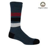 Immaculate Vegan - Striped Men’s Organic Cotton Sports Crew Sock Bundle | Multiple Colours