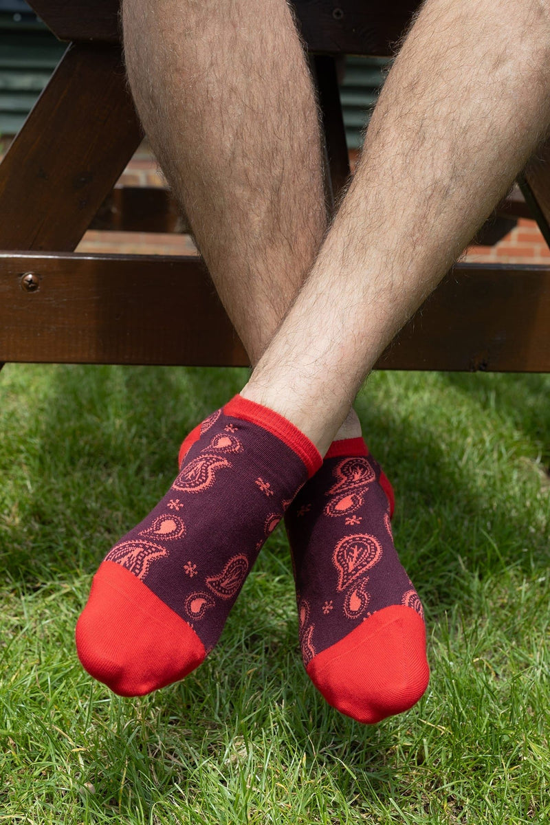 Peper Harow Paisley Men's Trainer Socks - Burgundy