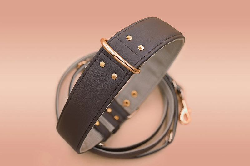 Piñatex® Vegan Leather Large Breed Dog Collar | Brown