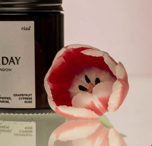 Sun.day of London Luxury Vegan Candle | Riad 180ml 180ml