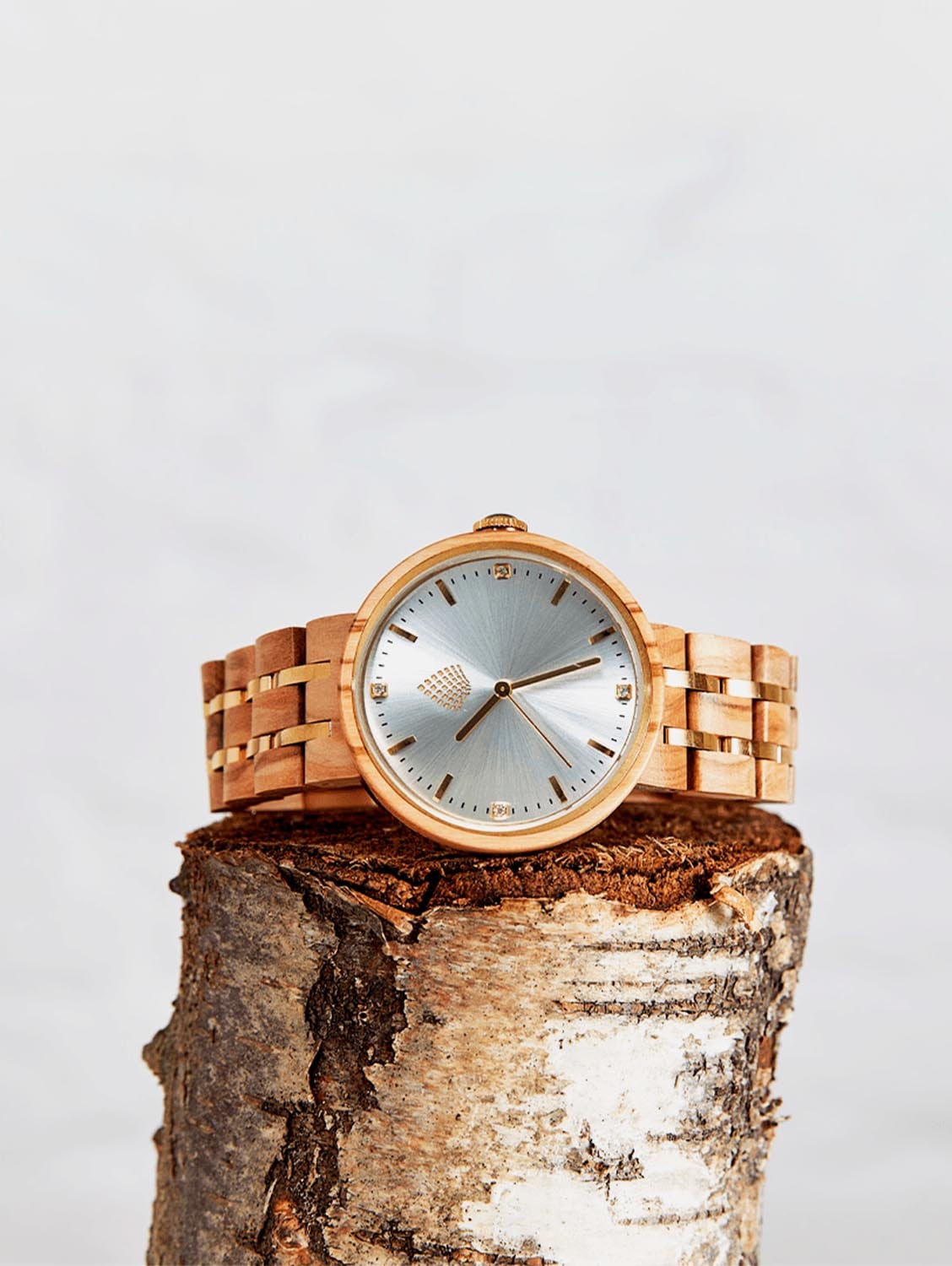 The Sustainable Watch Company The Teak