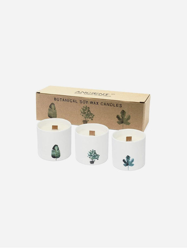 VEGAN Happy Vegan Soy Wax Botanical Candles | Box of 3