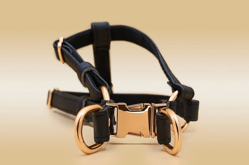 VEGARI Vegan Leather Anatomical Correct Dog Harness - BLACK PARADISE| Handmade from Piñatex