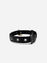 Immaculate Vegan - VEGARI Vegan Leather Dog Collar -BLACK-| Made from Pineapple Leather Piñatex