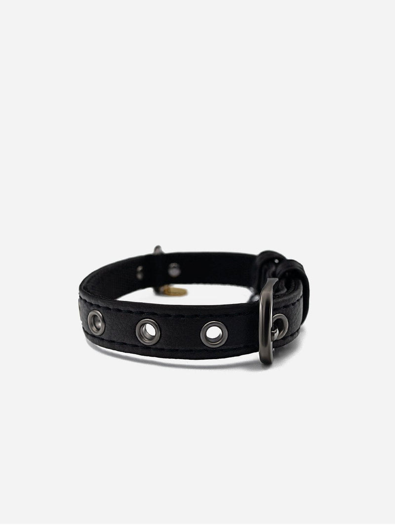 VEGARI Vegan Leather Dog Collar -BLACK-| Made from Pineapple Leather Piñatex