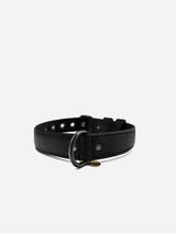 Immaculate Vegan - VEGARI Vegan Leather Dog Collar -BLACK-| Made from Pineapple Leather Piñatex