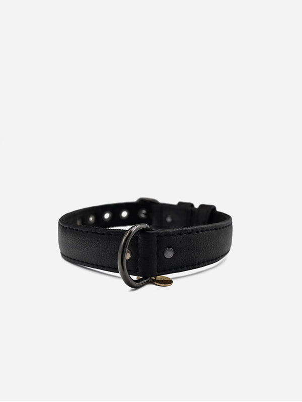 VEGARI Vegan Leather Dog Collar -BLACK-| Made from Pineapple Leather Piñatex