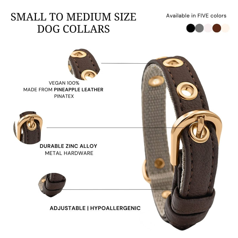 VEGARI Vegan Leather Dog Collar -BROWN-| Made from Pineapple Leather Piñatex