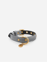 Immaculate Vegan - VEGARI Vegan Leather Dog Collar -GREY-| Made from Pineapple Leather Piñatex