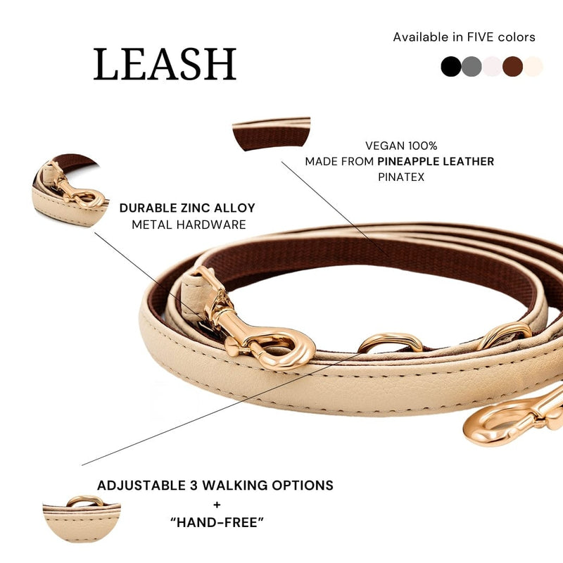 VEGARI Vegan Leather Piñatex Dog Collar and Leash Set| BEIGE