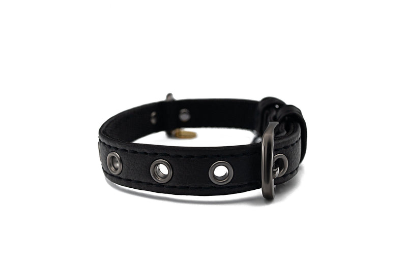 VEGARI Vegan Leather Piñatex Dog Collar and Leash Set| BLACK