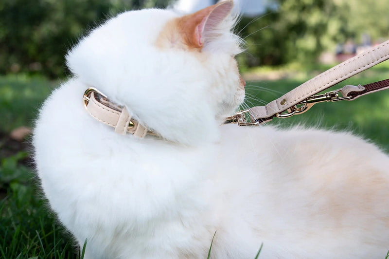 VEGARI Vegan Leather Rhinestone Collar| Beige Mini Royal - Handmade from Pineapple Leather XS / BEIGE / PINATEX VEGAN LEATHER