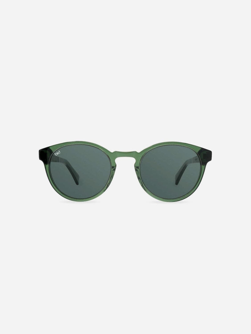 Bird Eyewear Kaka Sustainable Bio-Acetate Sunglasses | Olive Green