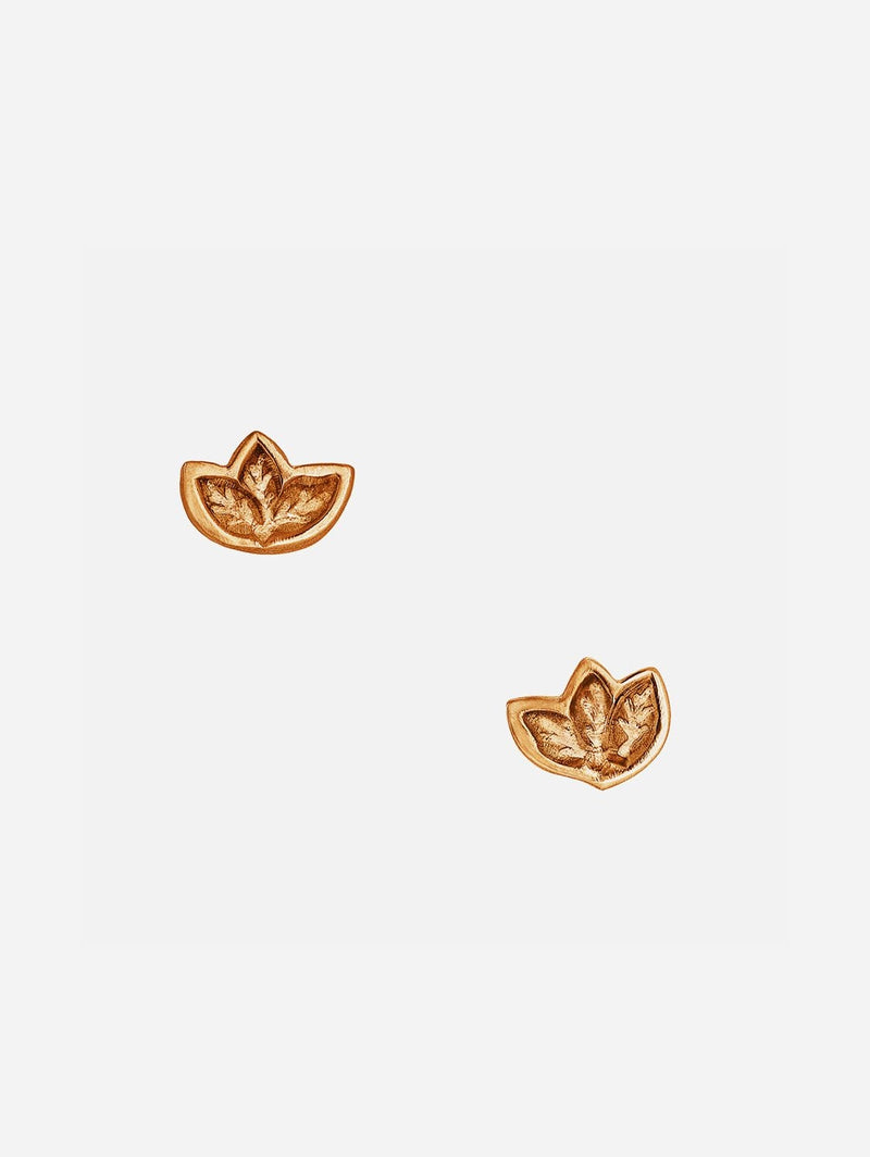 Fairtrade Rose Gold Leaf Stud Earrings | 9ct