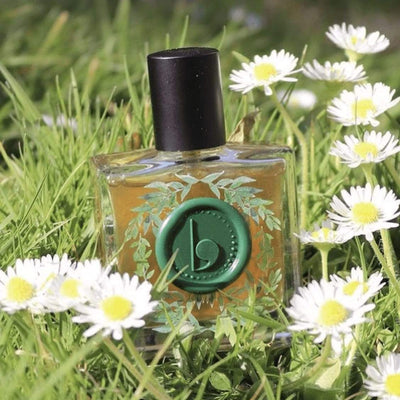 Lovorika Delphi Dry Oil Vegan Parfum | 30ml