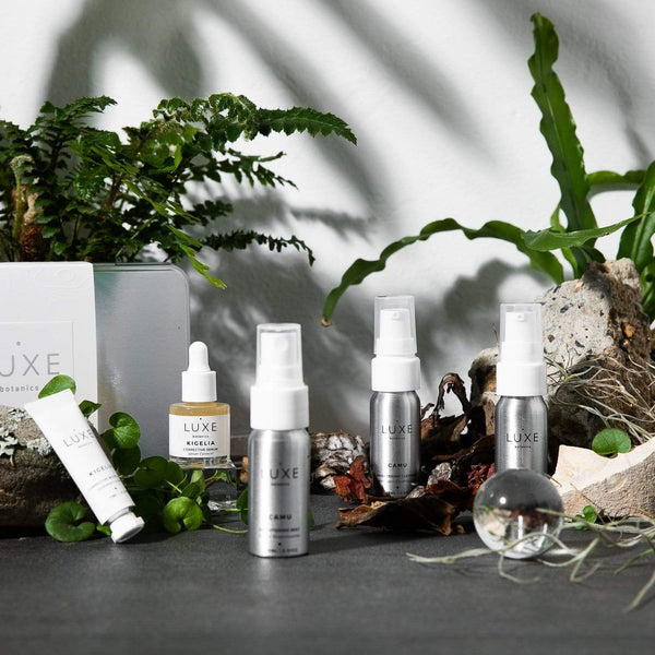 LUXE Botanics Rainforest Revival Vegan Discovery Kit | Combination, Oily & Sensitive Skin Kit